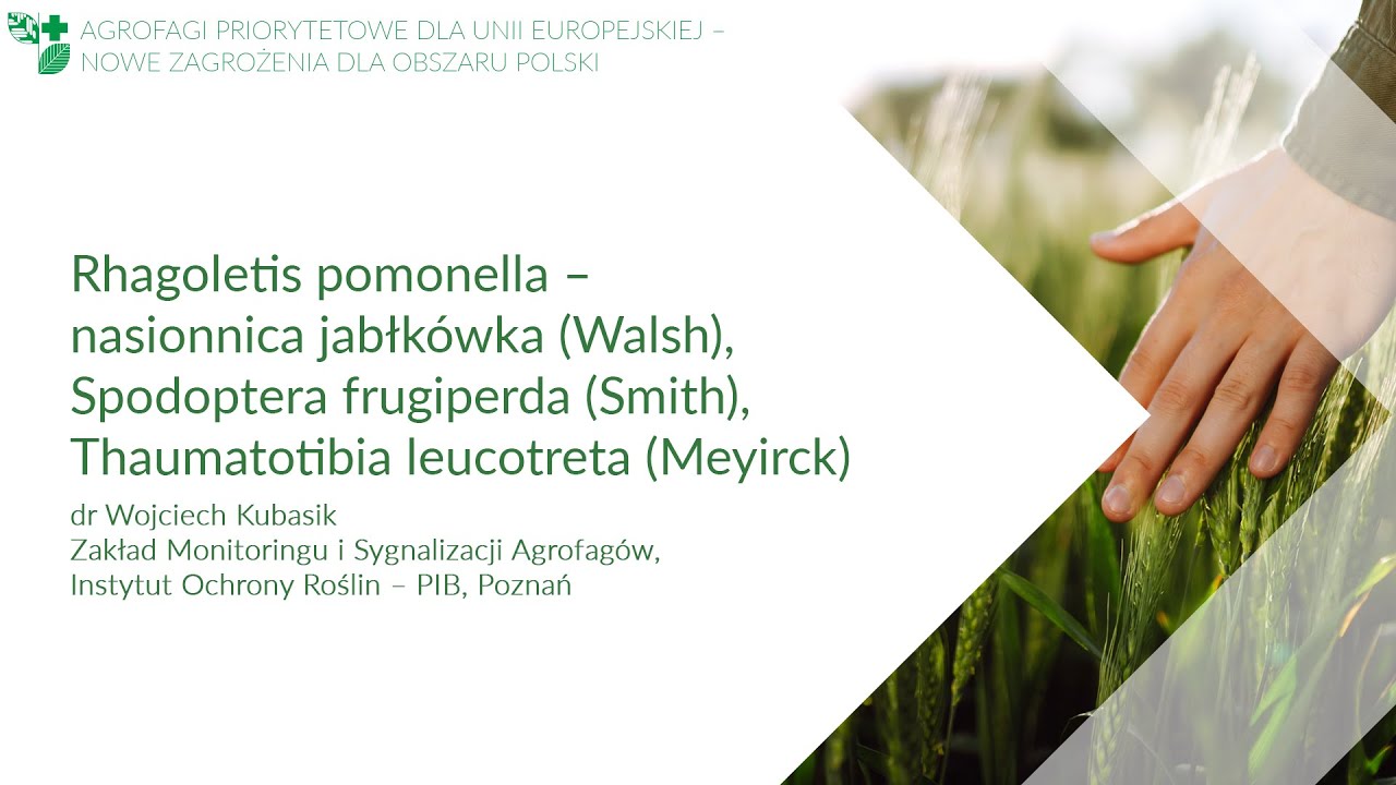 Rhagoletis pomonella, Spodoptera frugiperda (Smith), Thaumatotibia leucotreta (Meyirck)