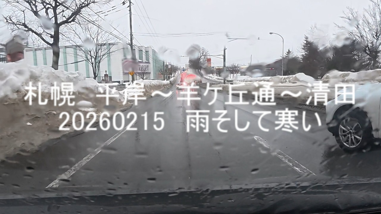 札幌　平岸～羊ケ丘通～清田　20260215　雨そして寒い