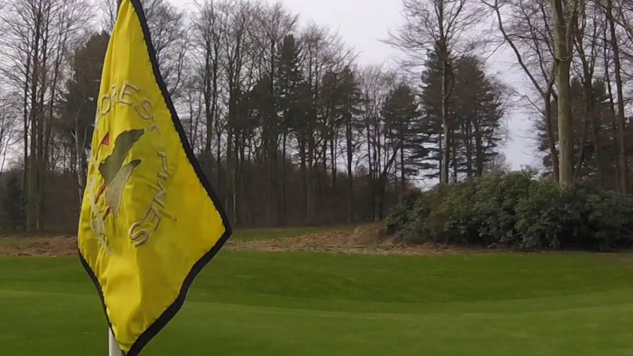 Pro and Pals play Forest Pines. Part One