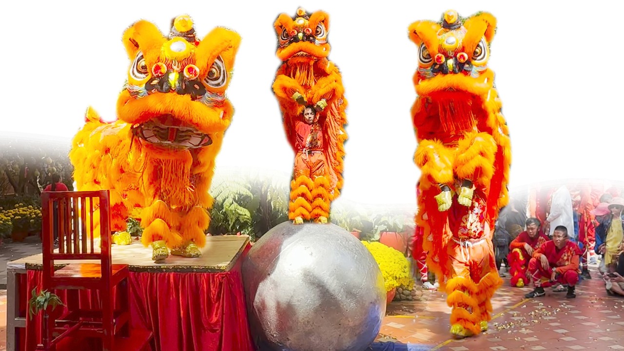 Múa Lân Ông Địa mùng 2 Tết 2026 đoàn LSR Nhơn Nghĩa Đường biễu diễn Múa Lân Sư Rồng