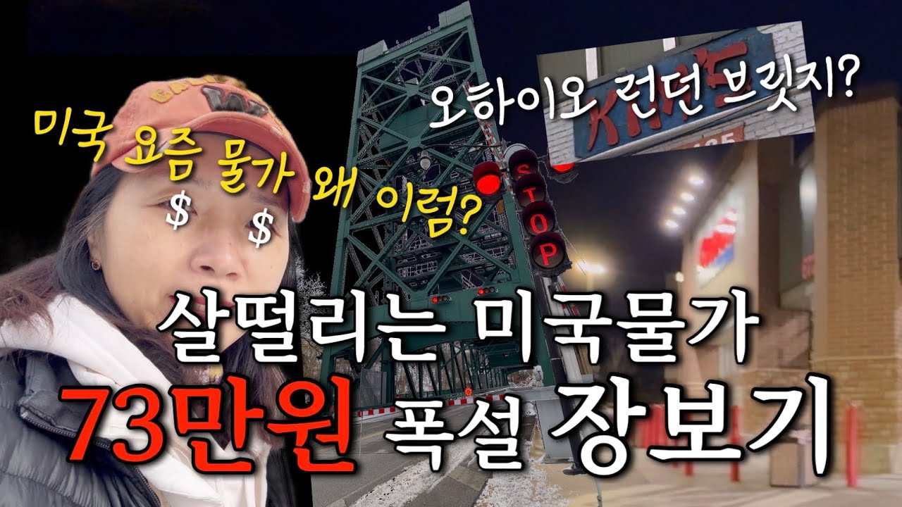 🇺🇸미국살이 5년차- 살떨리는 미국물가$$$$ 직화?피자 먹고 역대급 장보기