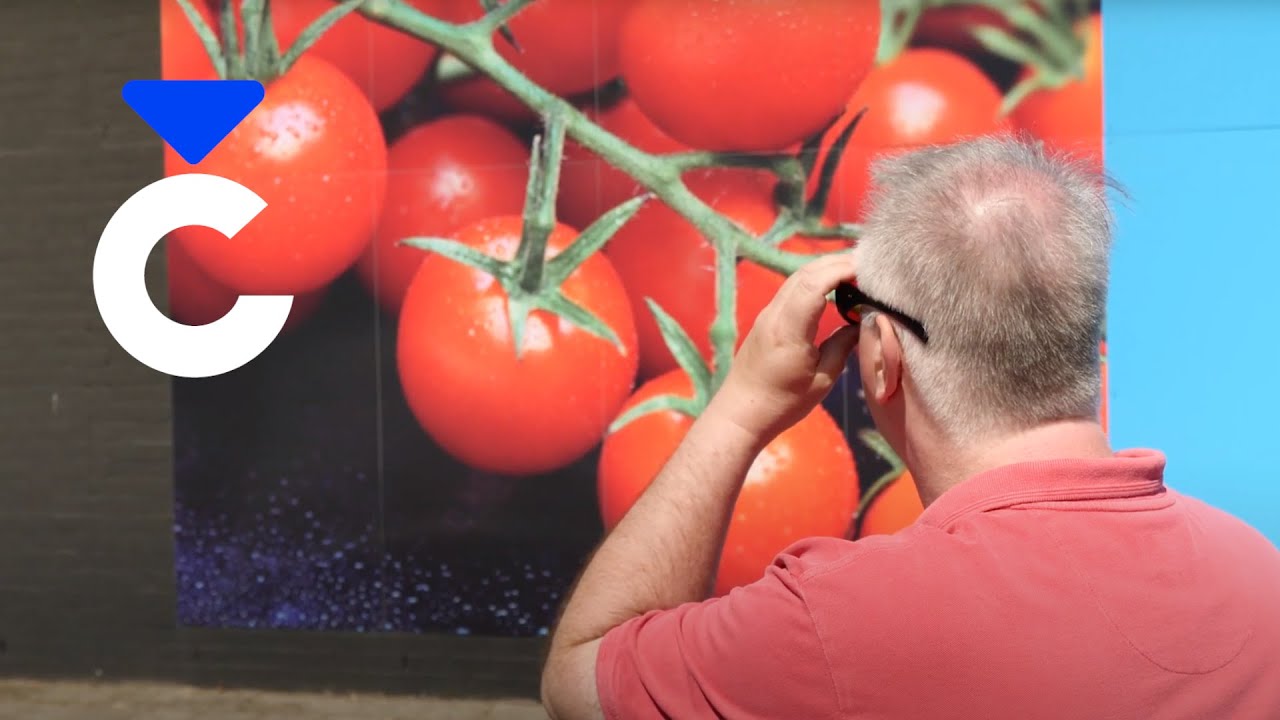 EnChroma bril voor kleurenblinden (Consumentenbond)