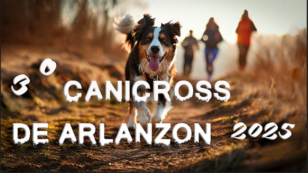 🔴LIVE: 3º CANICROSS de ARLANZÓN 2025