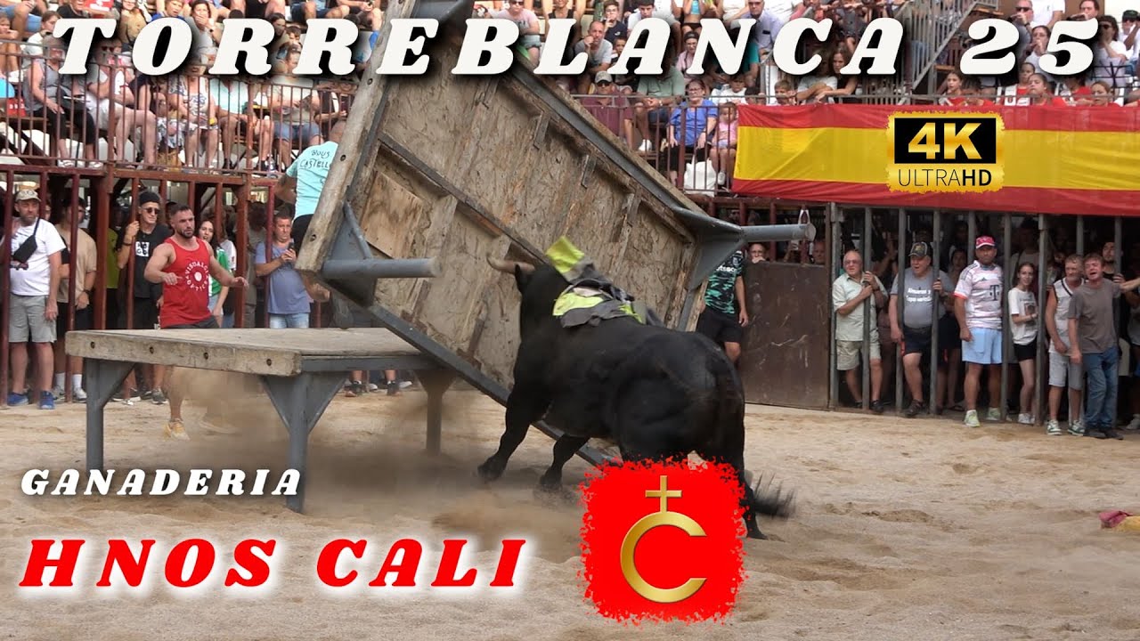 📽️4K- 26-08-2025 TORREBLANCA HNOS CALI