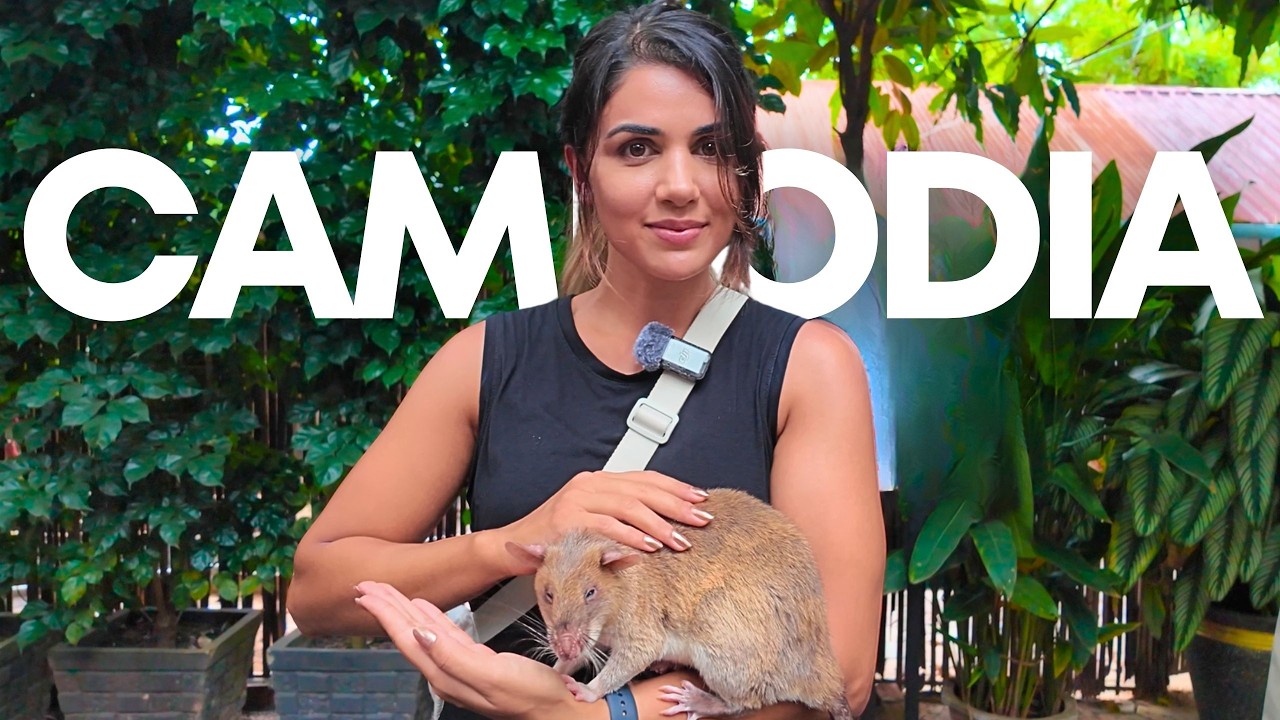 First Impressions of Cambodia (a LOT of Rats!)