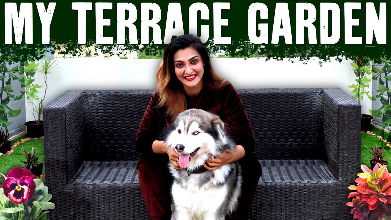 My Terrace Garden | My Happy Place | Akshara Reddy