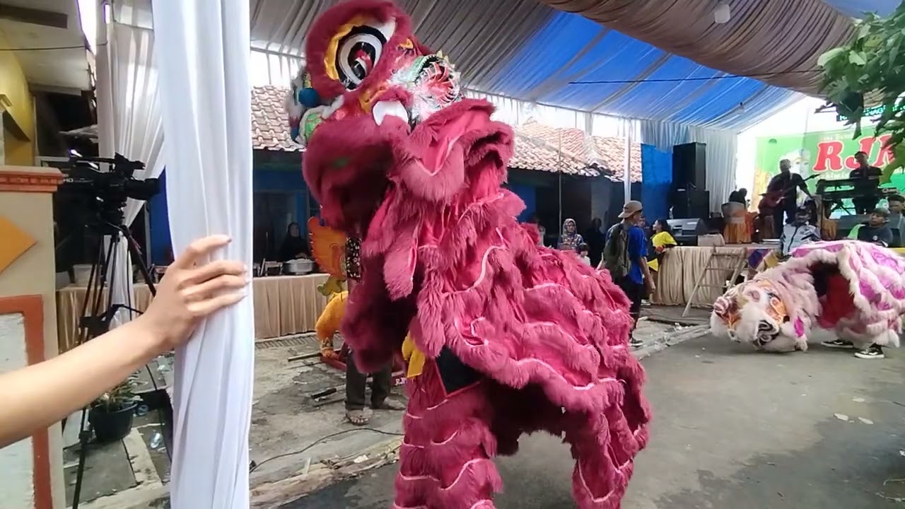 ATRAKSI BARONGSAI RJM LIVE KALIMANGGIS