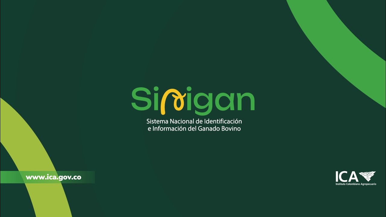 ICA | SOCIALIZACIÓN SINIGAN VI: Transportadores