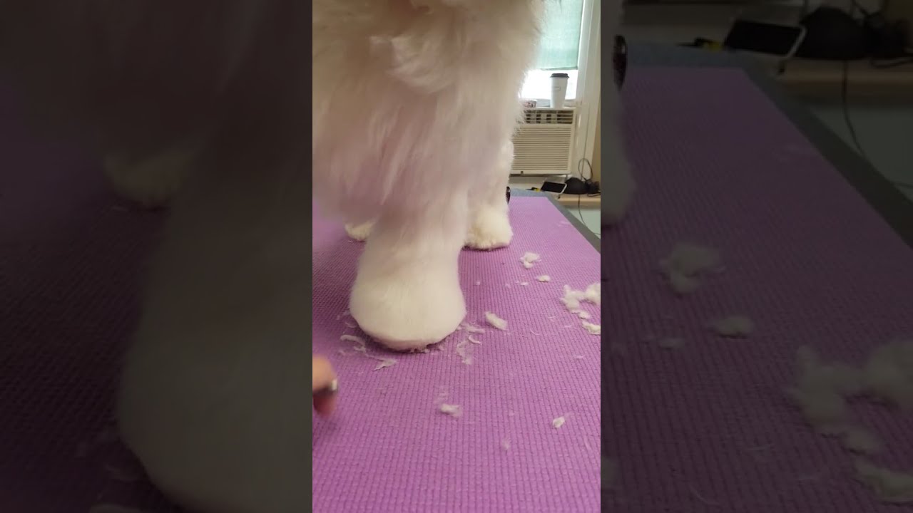 How to Scissor Beveled Feet by Nancy Bryson