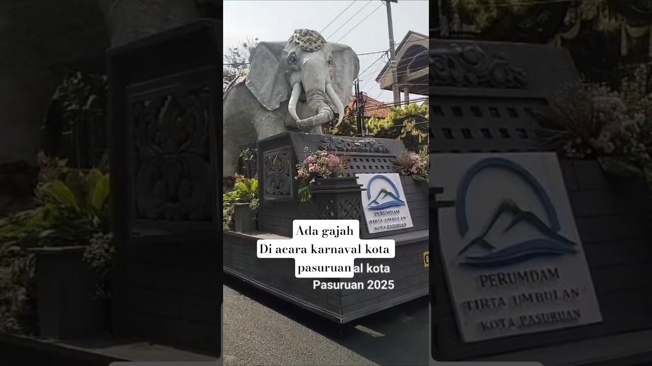 karnaval pasuruan 2025 #karnaval #shortsviral #viral #karnavalpasuruan2025 #fypシ゚viral