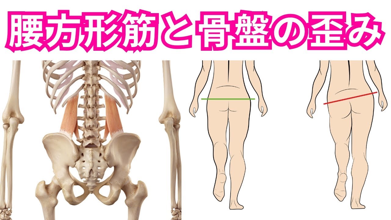 【腰方形筋のセルフケア方法】腰椎と骨盤の左右差・慢性腰痛に影響する腰方形筋のバランス不良！腰方形筋の運動療法・ストレッチを理学療法士が解説！【運動療法/ピラティス/腰痛】