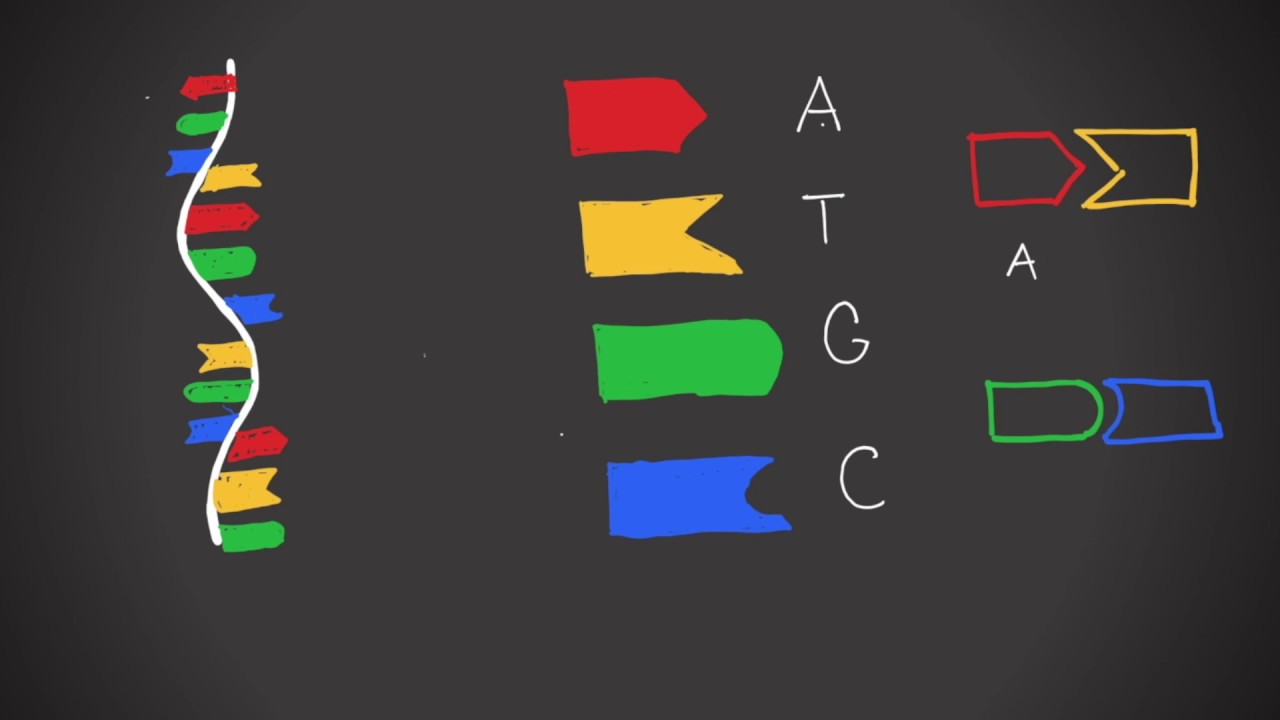 What is DNA Origami?