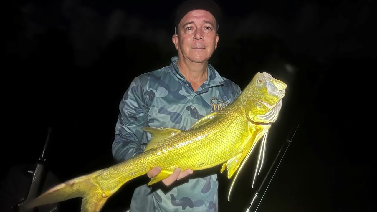 The Mackay region&rsquo;s top five sports fish &ndash; plus the region&rsquo;s tastiest fish!