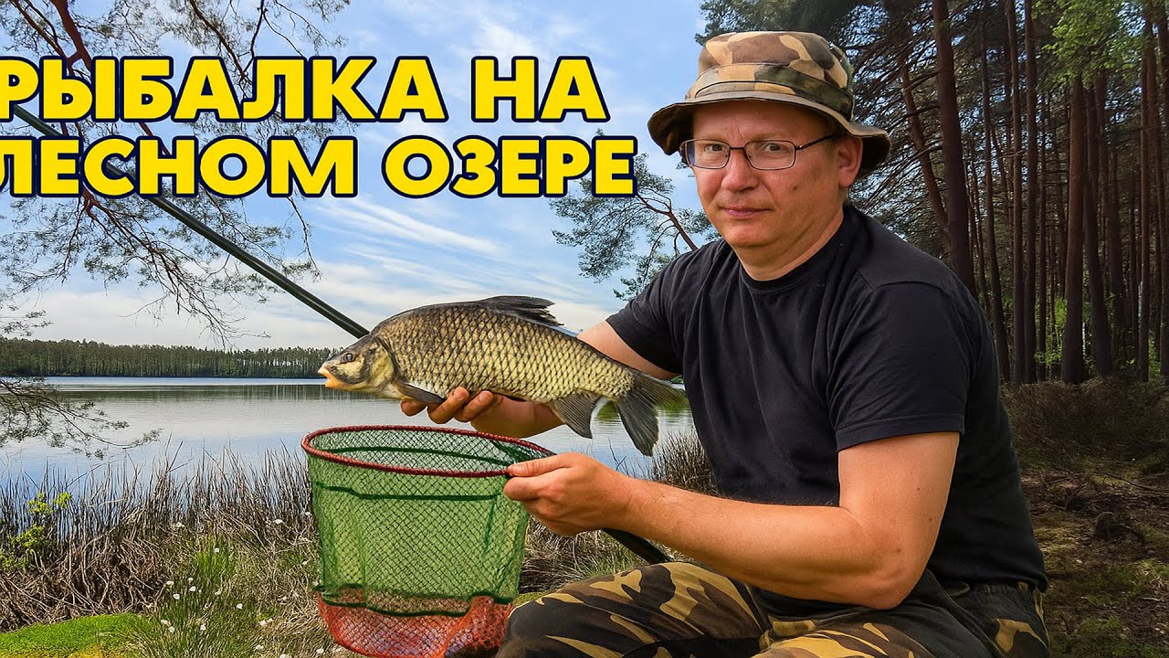 Рыбалка на торфяном болоте, рыбы тут так много, что не смог... На лесном озере. Проверка мерёжи.