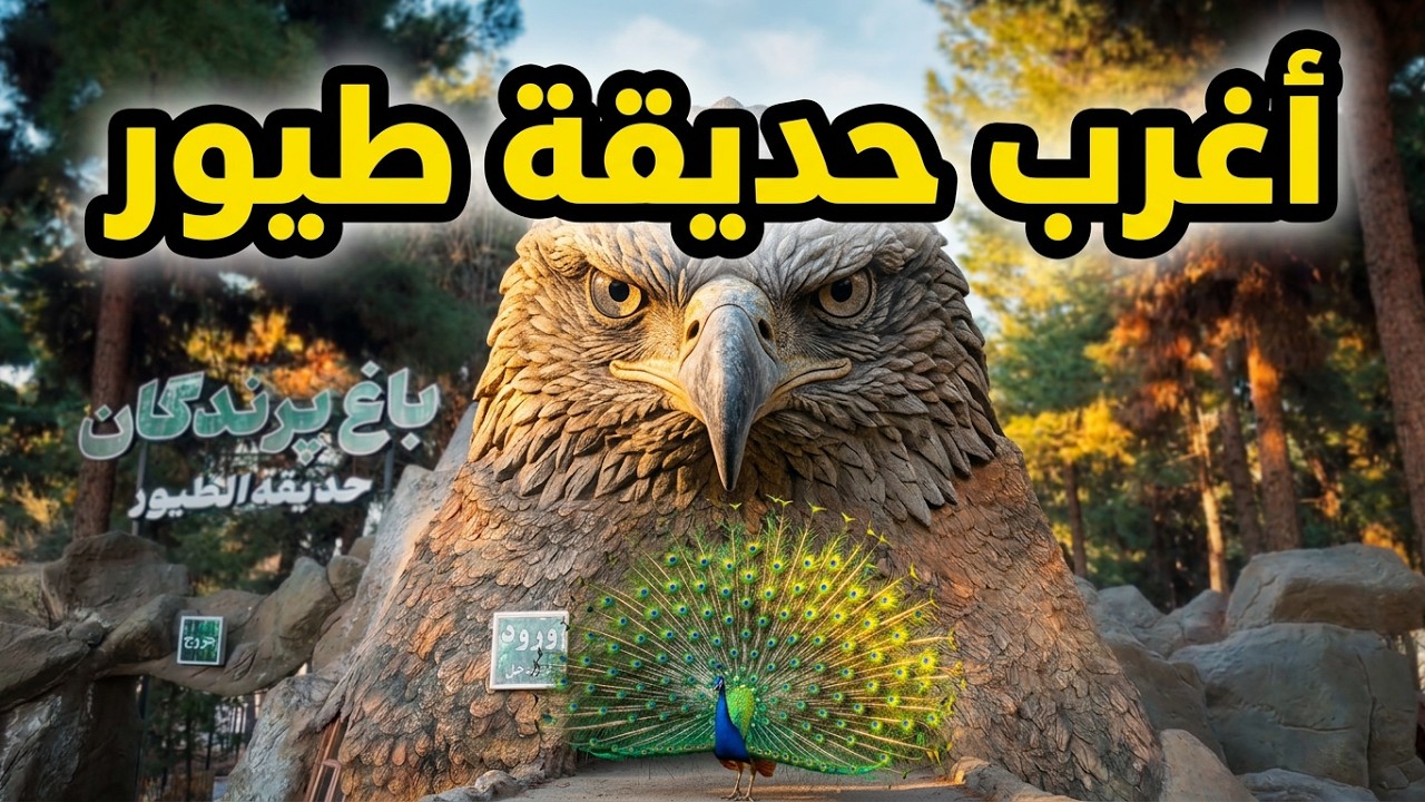 أغرب حديقة طيور في إيران 🇮🇷 | مشهد 😱| The Strangest Bird Park🦜