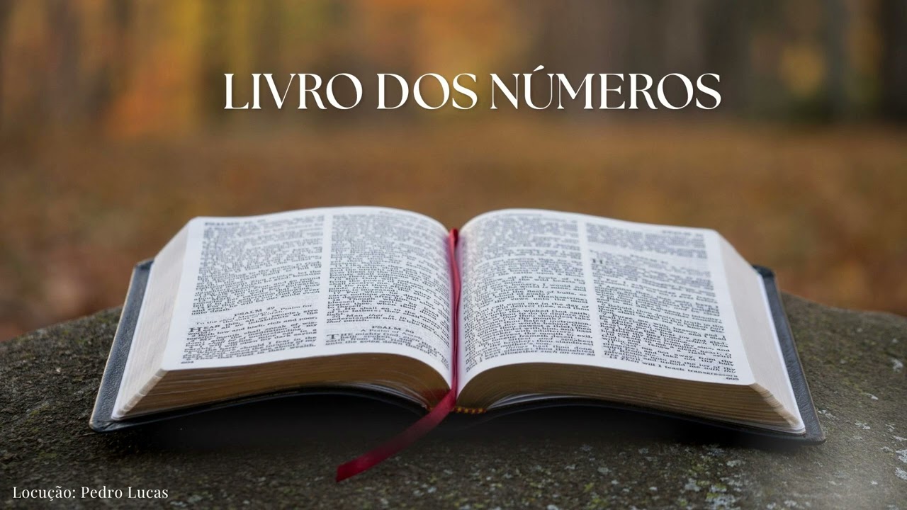 Números 11