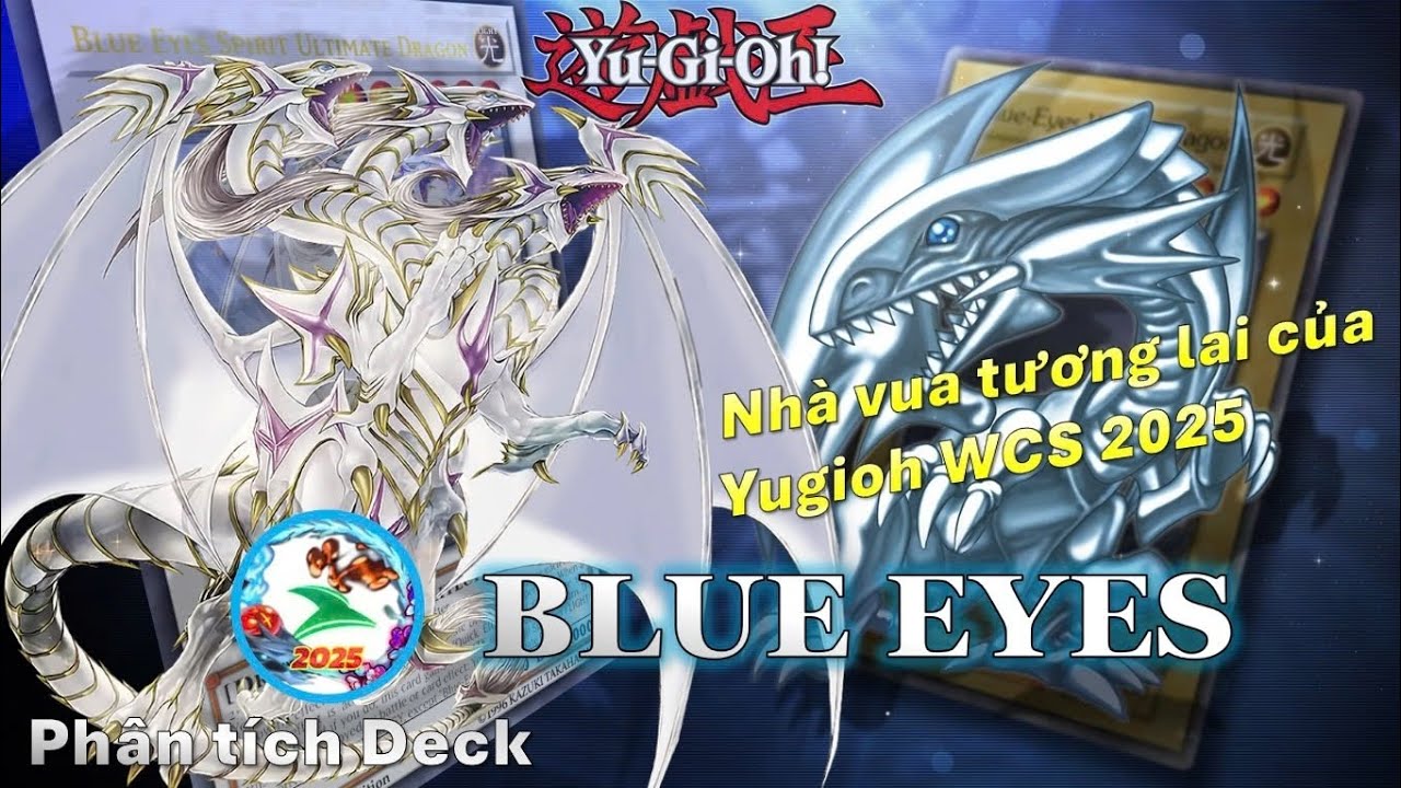 Phân tích Deck Blue eyes (cơ bản) | Ứng cử viên cho Yugioh WCS 2025