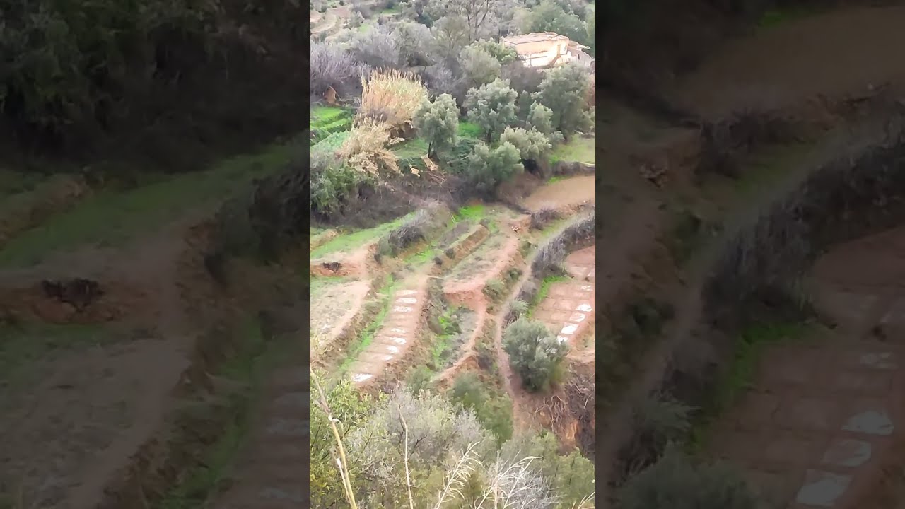 صور من جبال الريف 17/1/2026