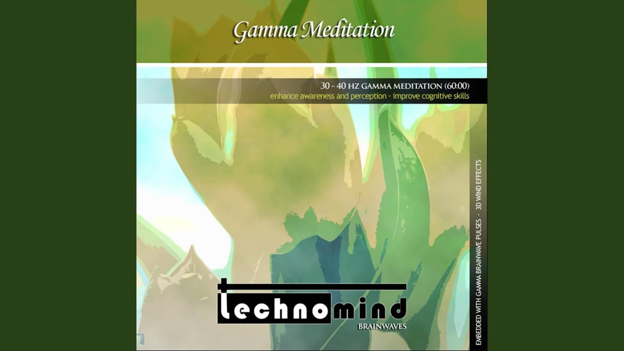 30 - 40 Hz Gamma Meditation