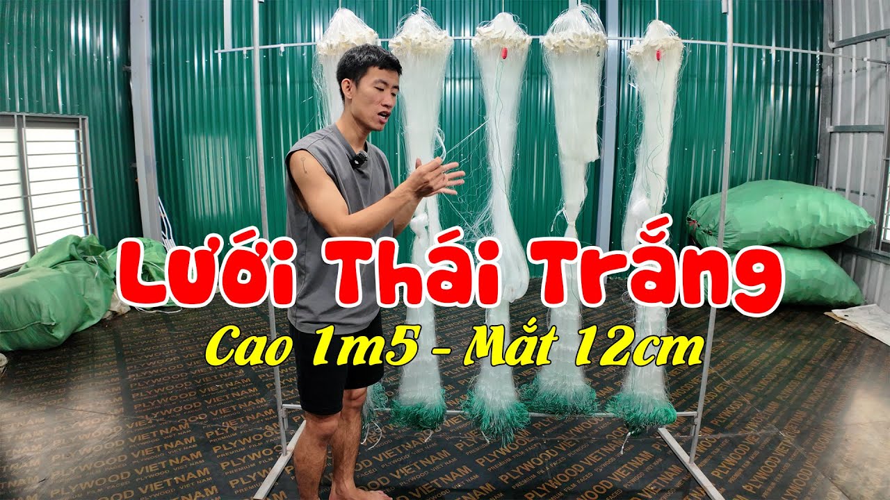 Lưới Thái Trắng Đánh Cá 1kg - 4kg | Cao 1m5 - Dài 90m - Mắt 12cm Sợi 2 #530k || Zalo: 0396.23.9999