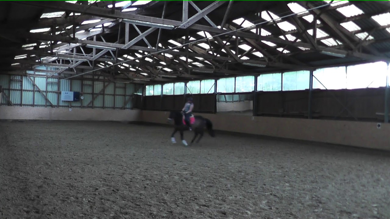 Online Reitstunde 11.05.2019