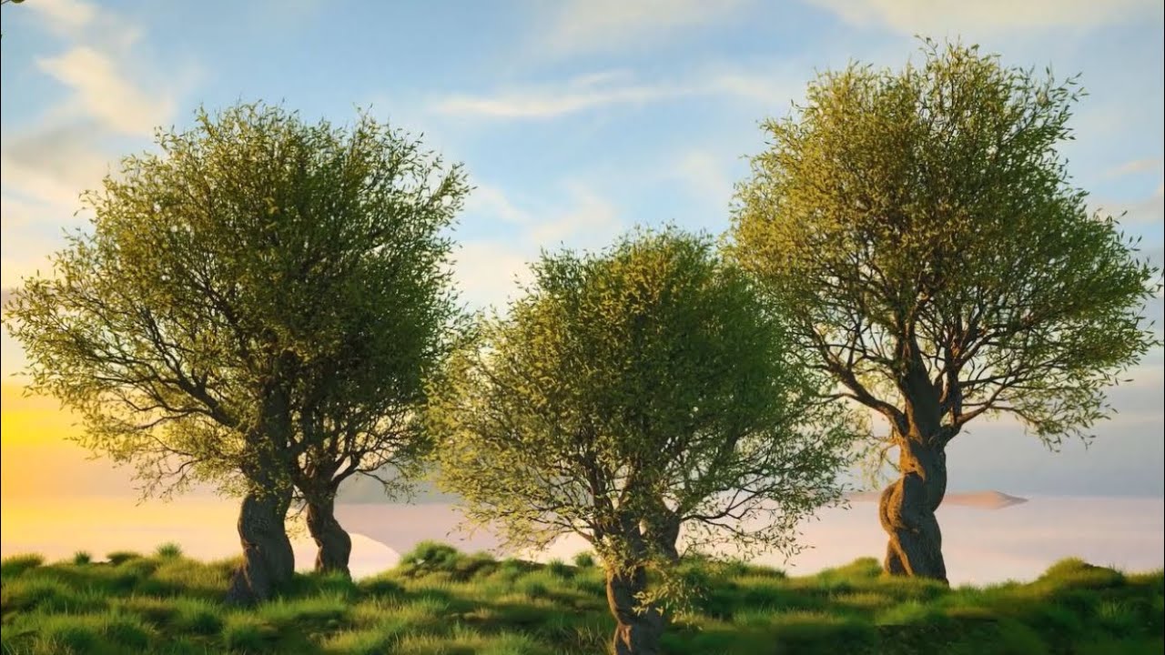Together 🌳 3 h - 함께 살아가는 세상이 좀더 따뜻하기를 소망하는 힐링음악, 수면음악