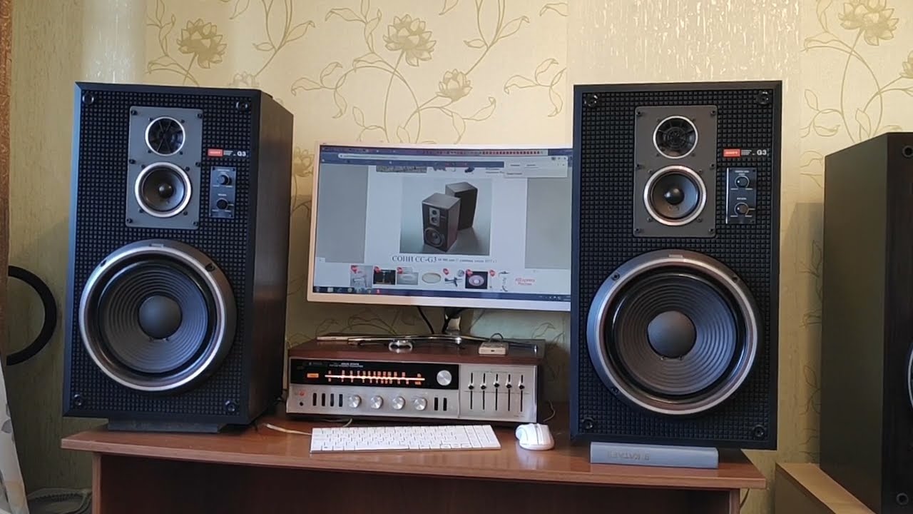 SONY SS G3