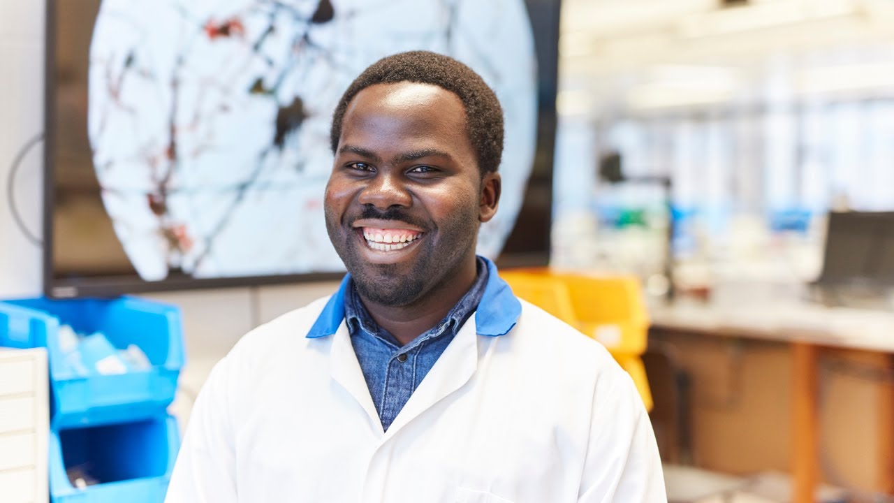 MSc Infection, Immunity and Human Disease | Postgraduate Degrees at the University of Leeds