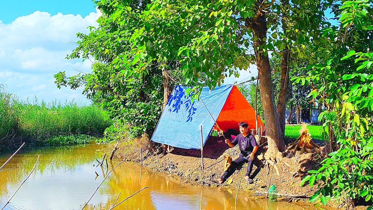 Camping by the river with the dog fishing and cooking | CookingSo