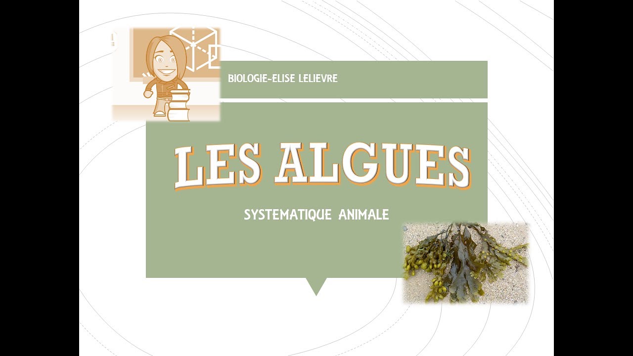 Introduction sur les Algues-Les endosymbioses