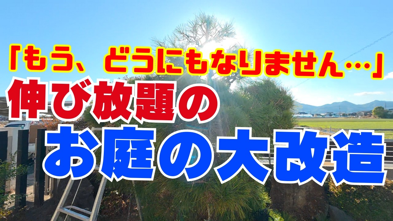 【荒れ庭再生】伸び放題だったお庭の大改造!!荒れた庭が蘇る!プロの黒松の剪定方法紹介| Overgrown Garden Makeover