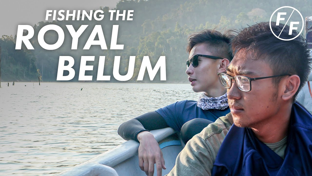 We Travelled 800km to Fish at a Rainforest! | Facepalmfishing