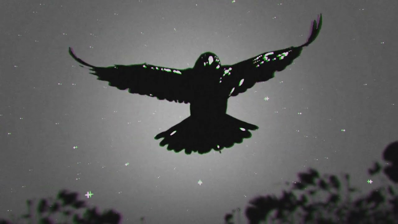 Ant&oacute;nimo -  El &uacute;ltimo mel&oacute;mano (Visualizer)