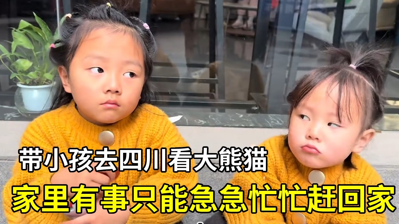 二胖玛丽带小孩去四川看大熊猫，家有有事只能急急忙忙赶回家 【老挝媳妇中国老公】