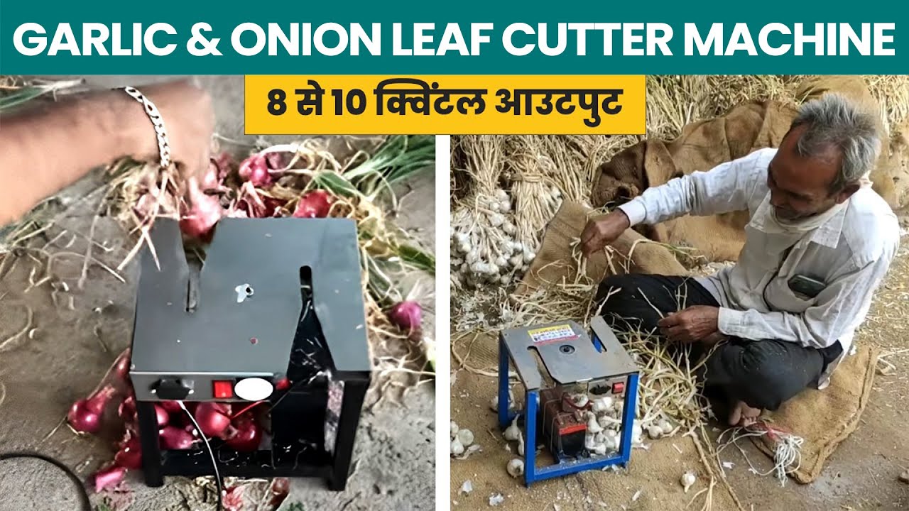 Garlic & Onion Leaf Cutter Machine | Onion Root Cutter Machine | Garlic Leaf Cutting Machine
