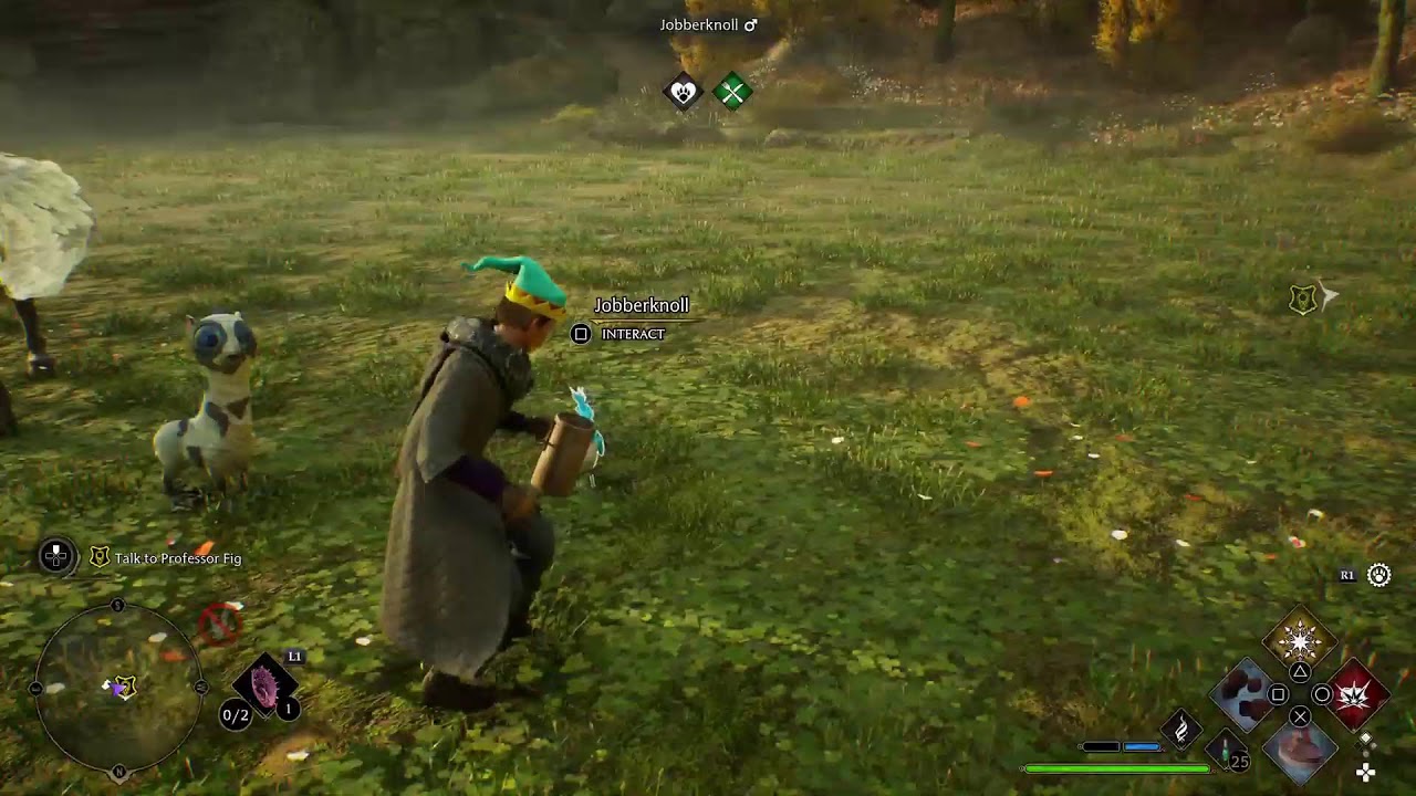 Thank God It's Friday / HOGWARTS LEGACY