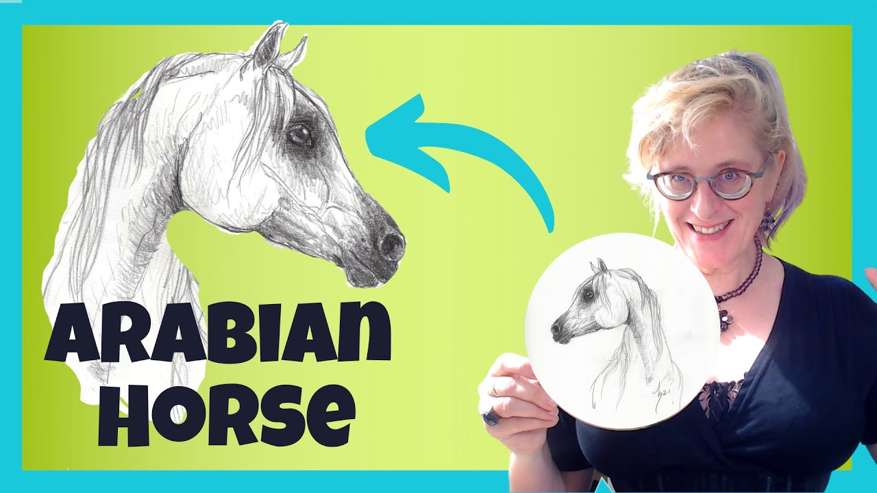 How to draw an Arabian Horse Head step by step