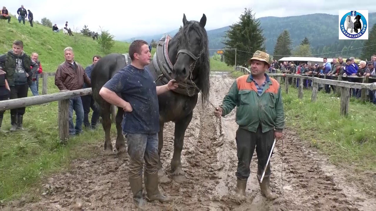 -Ducelja sa Cigom i Maksom slavio u Driniću -2019