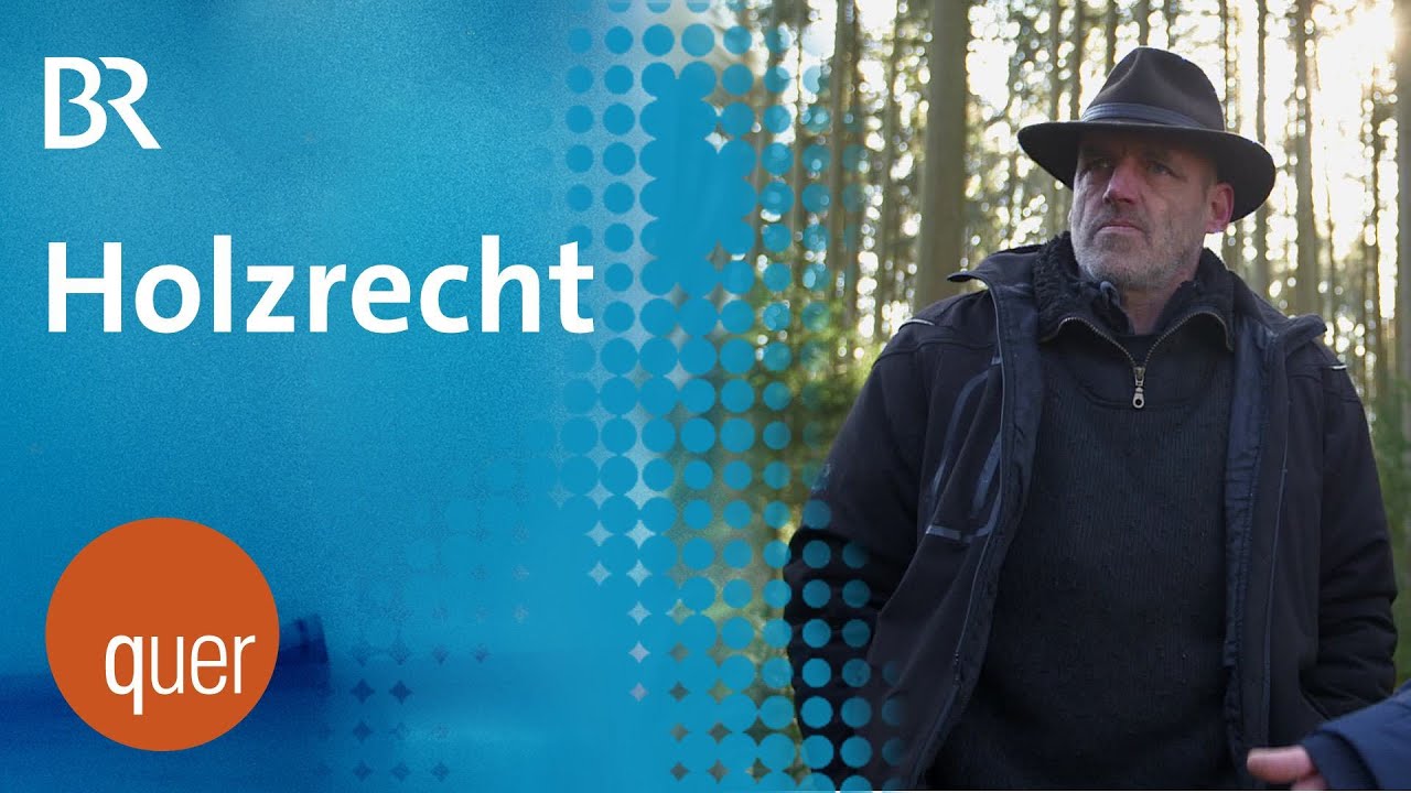 Holzrecht: Bayerische Tradition in Gefahr?  | quer vom BR