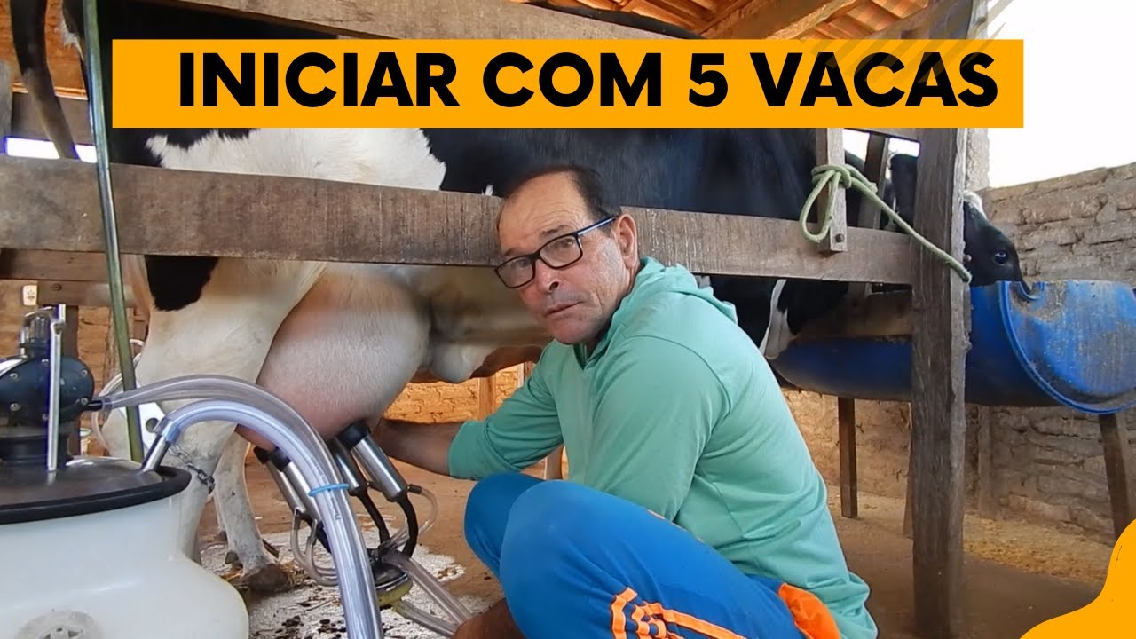 Ele explicou COMO INICIAR na PECUÁRIA LEITEIRA com 5 VACAS