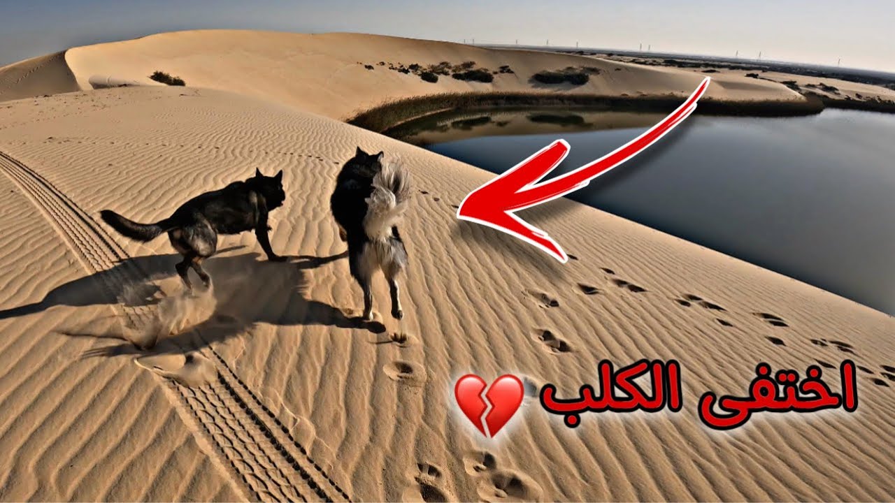 توباك جاب العيد !! وهرب مني  بالبحيره المرعبه 💔🥲 ( الجزء الاول )