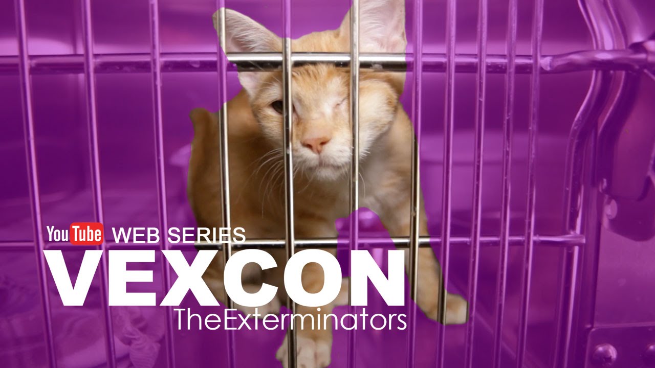 Vexcon The Exterminators - Web Series (Episode 5: Cats)