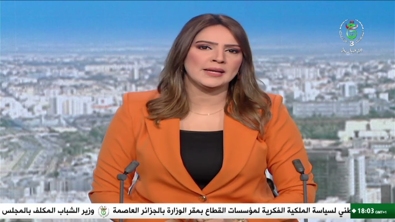الجزائر-النيجر-سونلغاز|فريق تقني يحل بنيامي لإطلاق المرحلةالميدانية لمشروع إنجاز محطة إنتاج الكهرباء