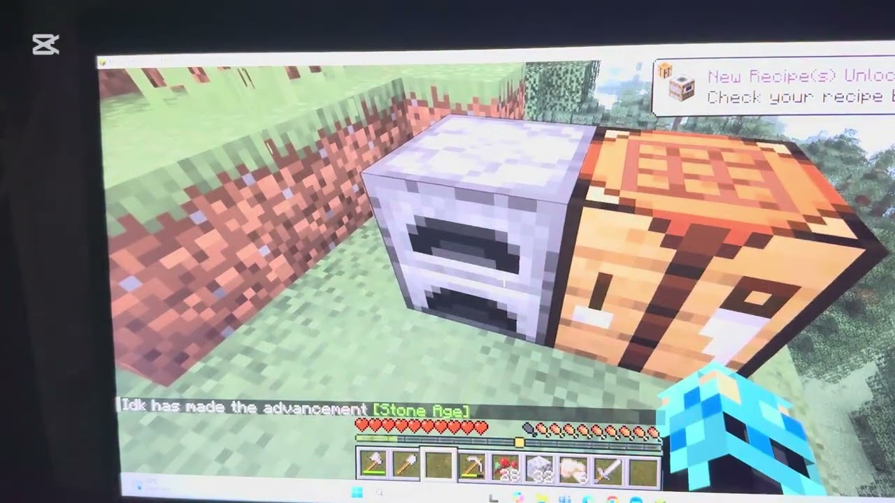 Minecraft Duos @LiziAleksishvili -თან ერთად