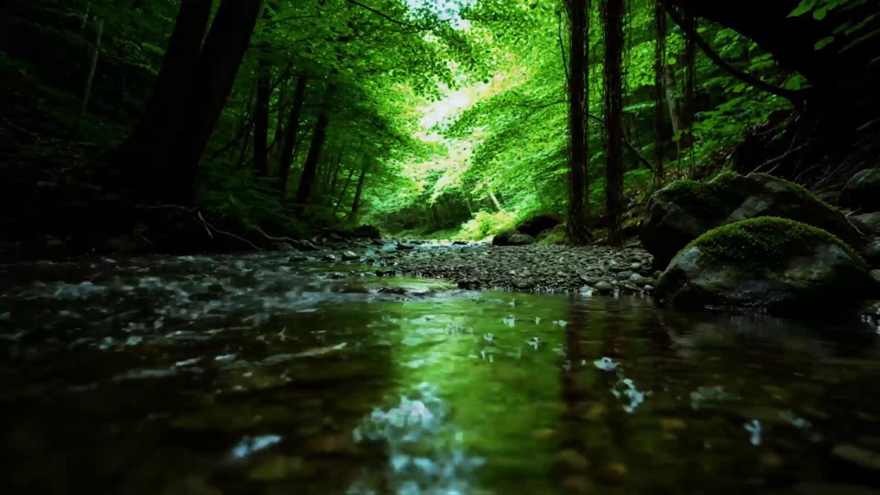Magical Forest Atmosphere With Flowing Water And Birds | Soothing ASMR For Sleep