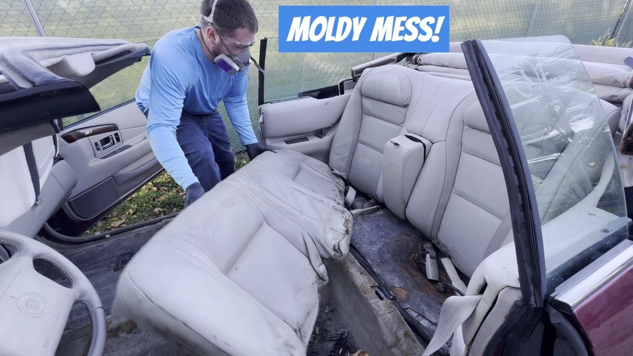 Stripping and Cleaning my Copart Saltwater Flooded Eldorado Convertible