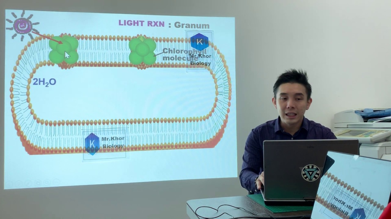 SPM Biology Form 4: Photosynthesis (Light Reaction)