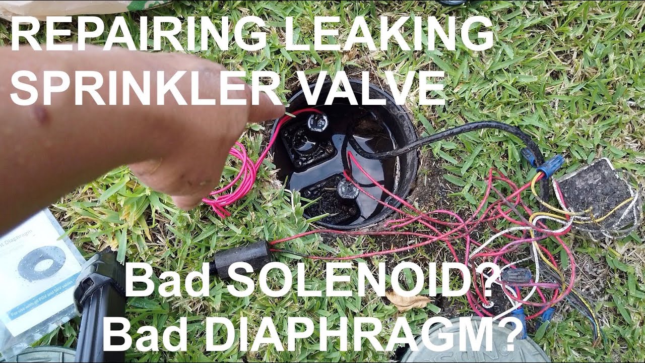 *FIXED* Leaking Sprinkler Valve - How to check bad solenoid or diaphragm?