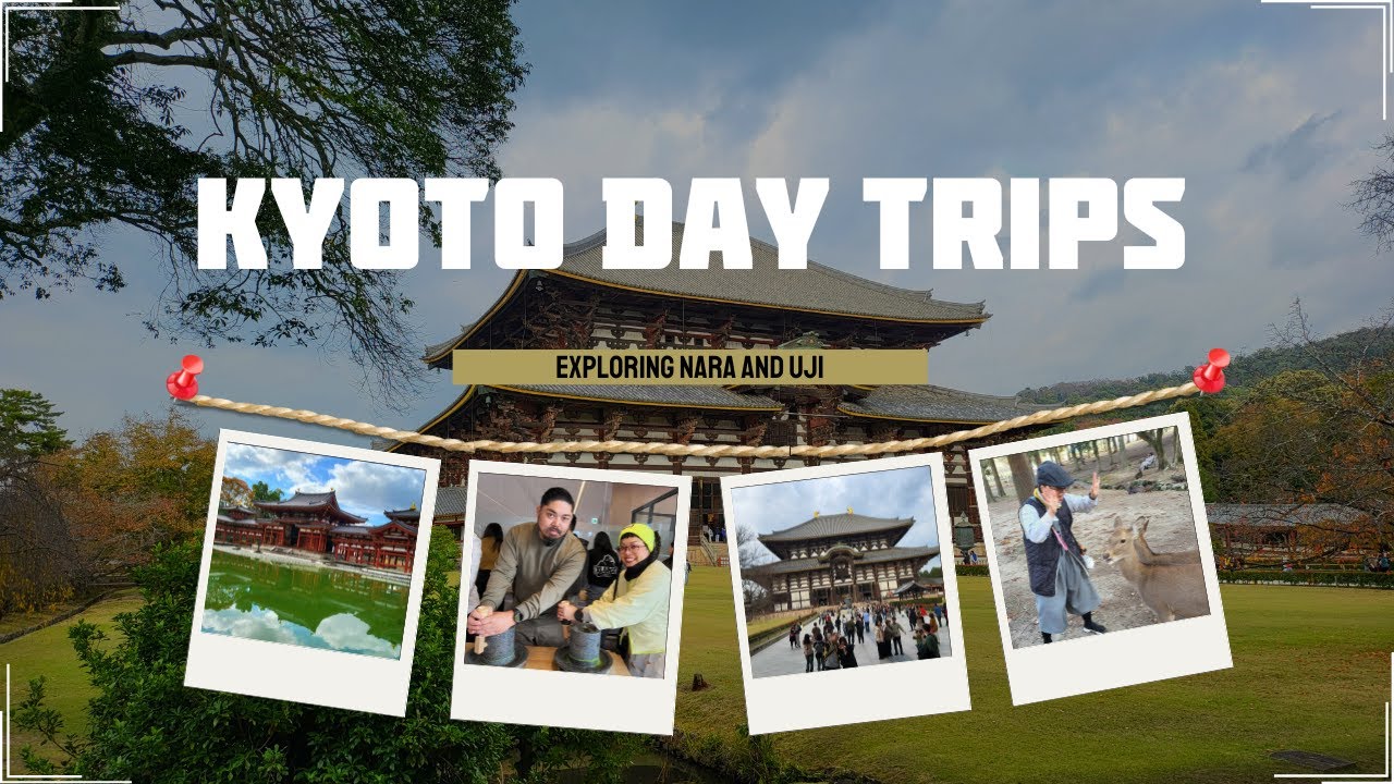 Feeding Sacred Deer in Nara 🦌 & Making Matcha in Uji 🍵 | Magical Day Trips from Kyoto!