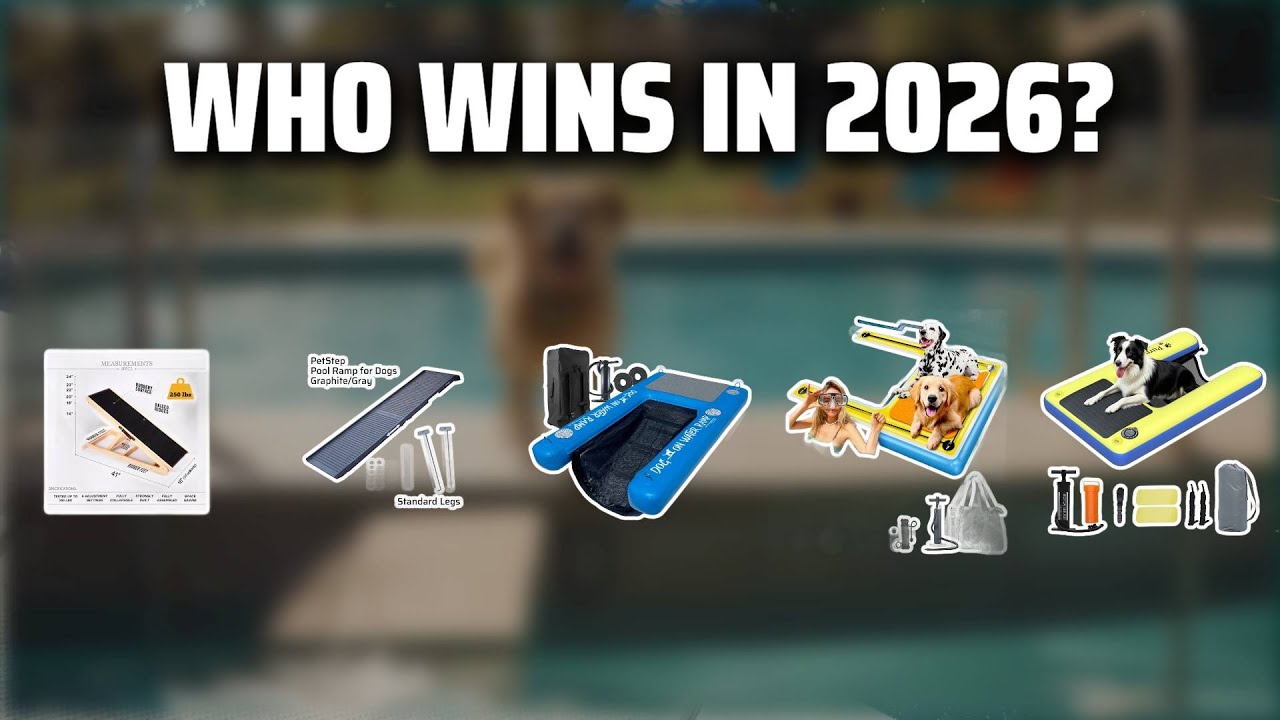 The Top 5 Best Doggie Pool Ramp in 2026 - Must Watch Before Buying!